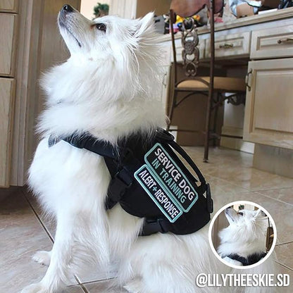 OneTigris Tactical Dog Harness,Puppy Harness with Handle, Military Vest for Small Dogs Outdoor Easy Control Training Walking