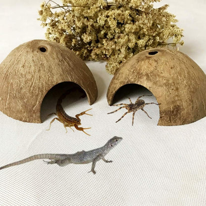 PINVNBY 2 PCS Natural Coconut Reptile Hideouts Lizard Coco Hut Hermit Crab Hut Aquarium Fish Hide Cave Spider Snail Climber Toys