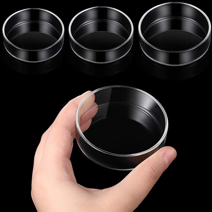 Patelai 3 Pieces Aquarium Shrimp Feeding Dish Clear Glass Fish Tank Feeding Bowl Food Bowl Freshwater Tray Feeder, 60mm, 65mm, 80mm