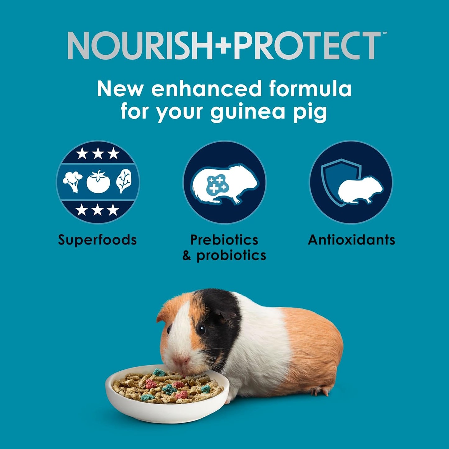 Kaytee Forti-Diet Pro Health Nourish+Protect Guinea Pig Food, Comprehensive Nutrition Backed by Science, Digestive Health, Immune Support, 5 pounds