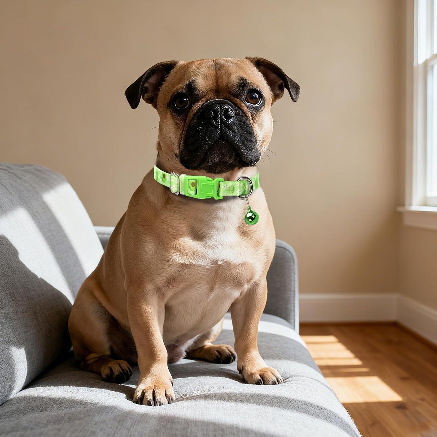 XS Dog Collar with Bell- Durable Nylon Collar for Small Breeds,Adjustable Cute Fruit Pattern Collar for Chihuahua Pomeranian Yorkie, Heavy-Duty for Active Puppie（Avocado S）