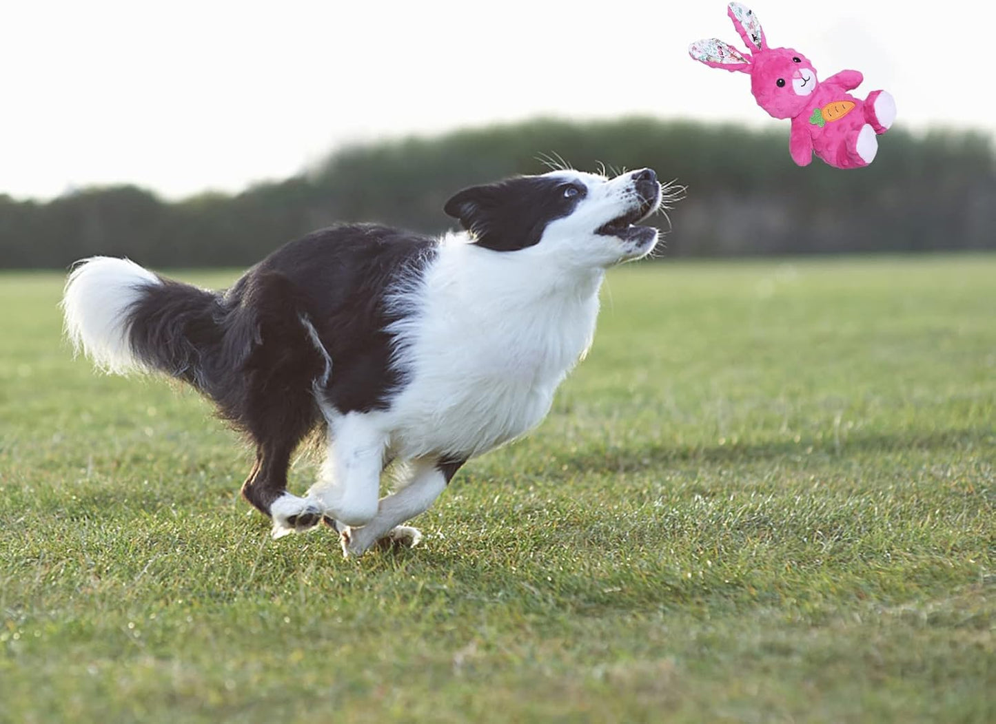 DODODOLA Dog Toys Stuffed Dog Toy with Crinkle Paper Cute Rabbit Plush Bunny Squeaky Dog Easter Toys Dog Chew Toys for Medium Large Breed