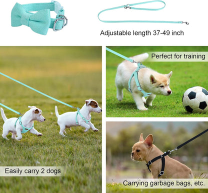 Dog Harness and Leash Set, XXS No Pull Adjustable Puppy Harness with Multifunction Pink Dog Leash and Dog Collar, Soft No Choke Escape Proof Pet Harness Vest for Small Dogs and Cats (Mint Green, S)