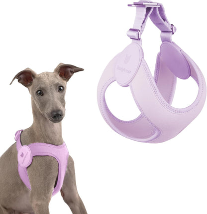 Ultra Comfortable Dog Harness Adjustable Soft Dog Vest, Alloy Buckle Closure Lightweight Stretchy Puppy Harness Step in for Small Sized Dogs Walking Training (Monet Purple, L 18.9-20.8")