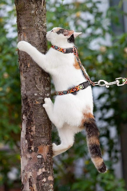 Cat Harness and Leash Set Geometric Pattern Escape Proof Adjustable for Kitty Outdoor Walking(Orange)