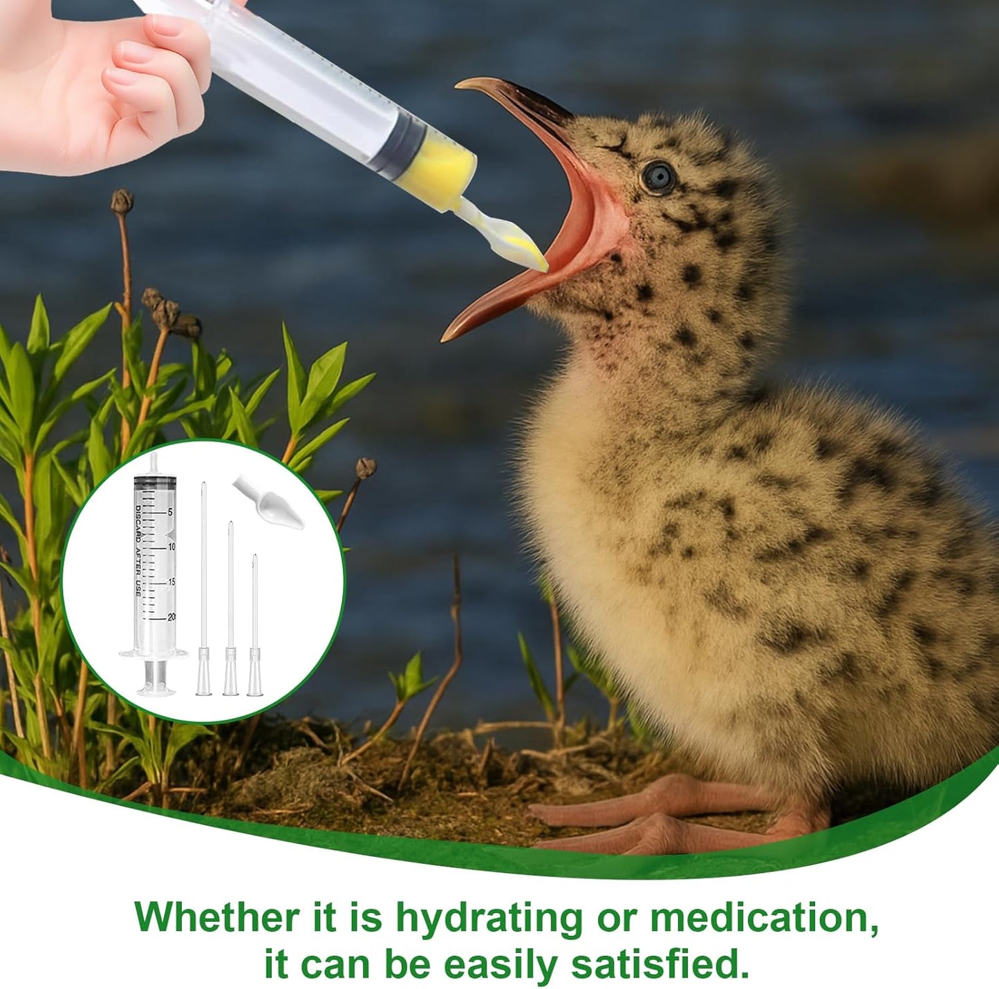 Baby Bird Feeding Syringe Kit – 5 Pack 20ml Plastic Syringe Set, Feeding Tubes and Spoon, Reusable Feeding Syringe for Birds, Rabbits, Kittens and Small Pets