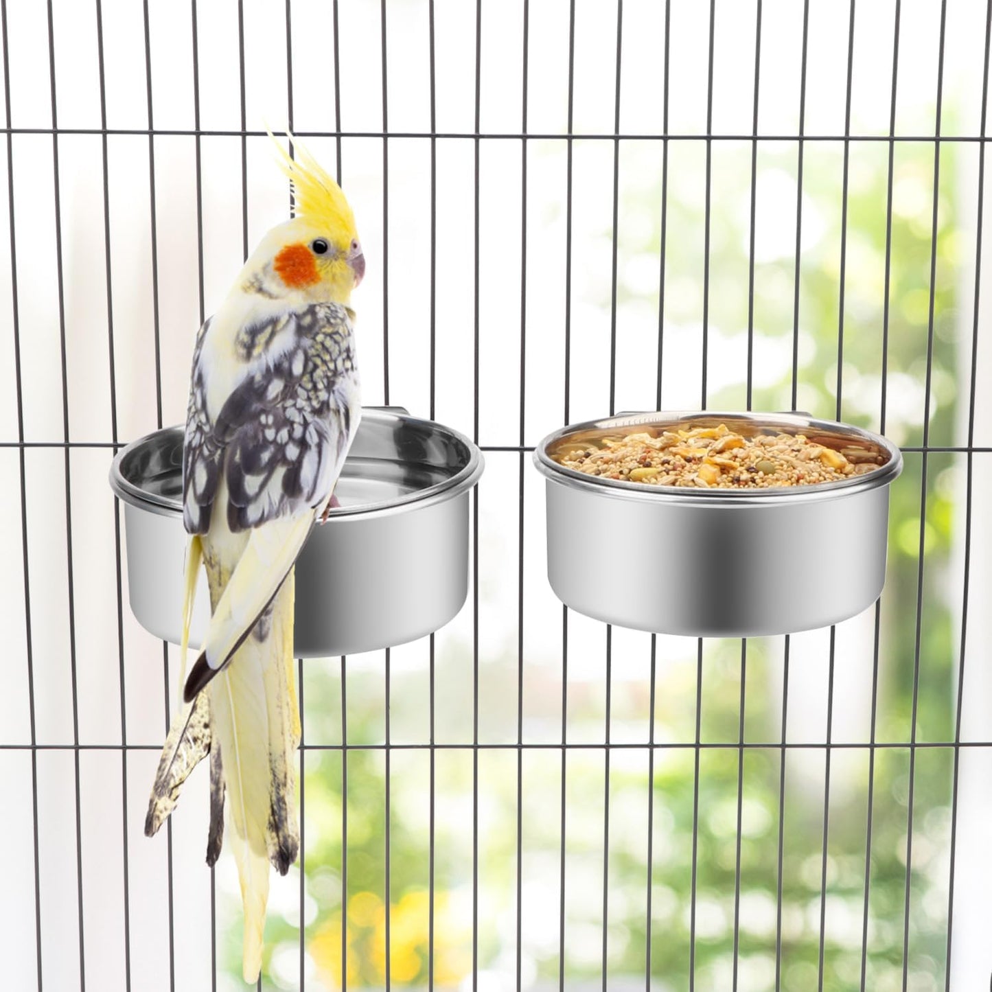 Wontee Pet Food Water Bowl with Clamp Holder Stainless Steel Feeding Cups Feeder for Dog Bird Parrot Cat Rabbit, 2 Packs (M)