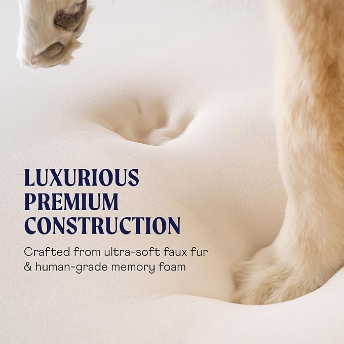 PAW BRANDS PupRug Orthopedic Dog Bed for Large Dogs with Fluffy Soft Faux Fur and Memory Foam for Joint Pain Relief, Machine Washable and Waterproof Couch Bed, White with Brown Accents, Large/XL