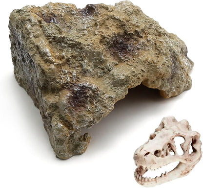 Anxingo Reptile Rock Reptile Cave Hideout for Snakes/Geckos/Lizards/Turtles and Other Amphibians, with Dinosaur Skull (Small)