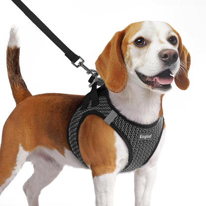 Eagloo Small Dog Harness and Leash Set, Step in Puppy Vest with Breathable Soft Mesh, Walking Reflective Pet Harness for Medium Small Dogs, Gray, M