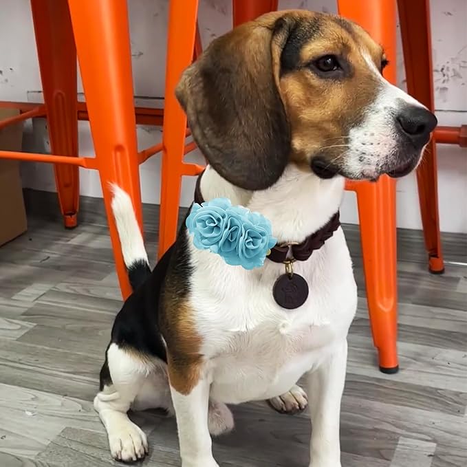 6 PCS Dog Collar Flowers, Multi-Color Pet Bow Ties Flower, Sliding Pet Collar Grooming Accessories for Puppy Small Medium Large Dogs Kitten Cats Rabbits