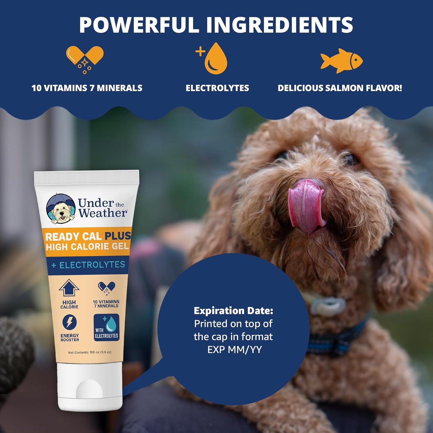 Under the Weather Pet Electrolytes Ready Cal Plus Gel for Dogs | Vet-Formulated High-Calorie Supplement for Dog & Puppy | Provides Essential Calories & Promotes Weight Gain | 3.5 Oz Tube Pack