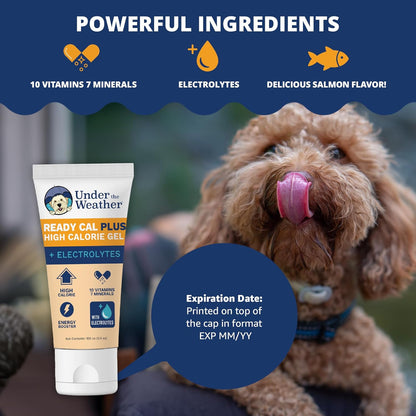 Under the Weather Pet Electrolytes Ready Cal Plus Gel for Dogs | Vet-Formulated High-Calorie Supplement for Dog & Puppy | Provides Essential Calories & Promotes Weight Gain | 3.5 Oz Tube Pack