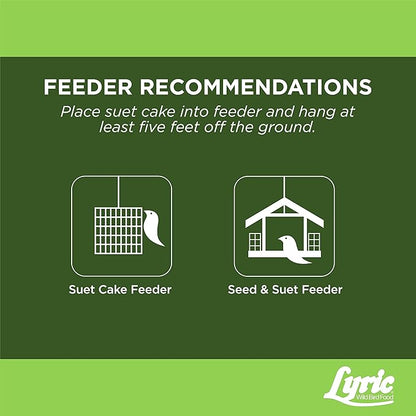 Lyric Fine Tunes No Waste Wild Bird Seed Suet Cakes for Wild Birds, 12 oz. (12 Pack)