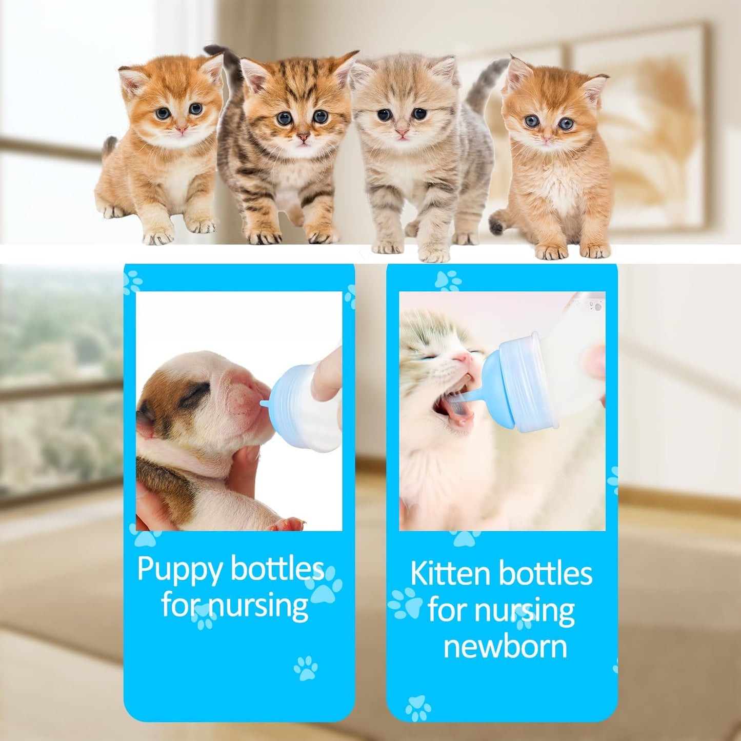 Pet Nursing Bottle Kit for Kitten Puppy,90mlCat Bottle Feeding Kit Nipple Kittens Syringe for Small Cat Dog Newborn Kitten Puppys Rabbits Squirrel Animals (Blue)