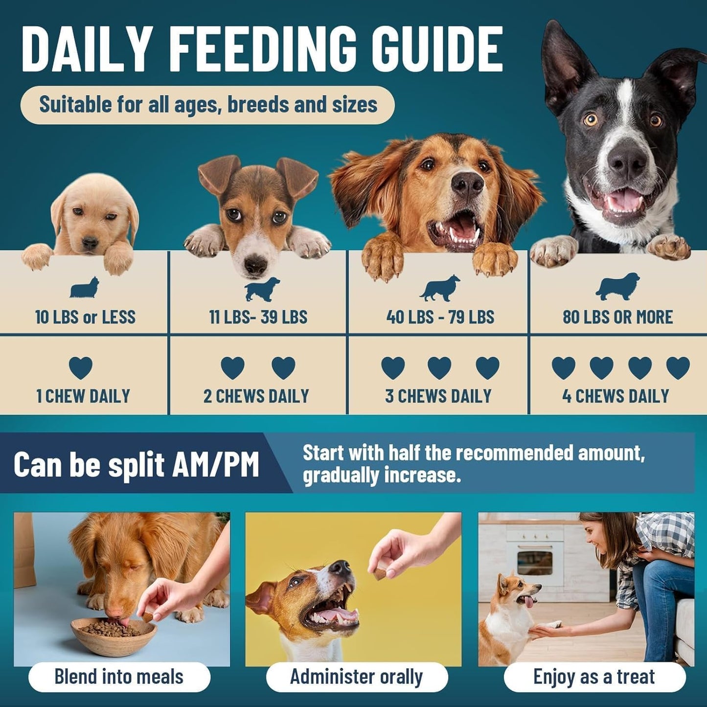 Dog Probiotics for Dogs, 200 Soft Probiotics Chews for Dogs Digestive Health Gut Health & Immune System, with 6 Probiotics & Digestive Enzymes, Support Itchy Skin, Constipation & Diarrhea Relief