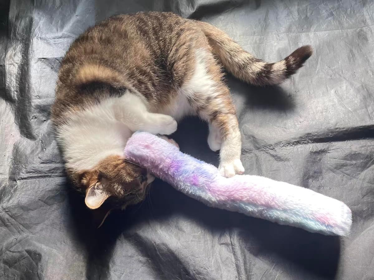 PAZ'S GIFT Catnip Toys - Cat Kick & Rope Toys for Indoor Play, cat & Kitten Teething Chew Toys for Aggressive Chewing & Teeth Cleaning (Cat Pillow)