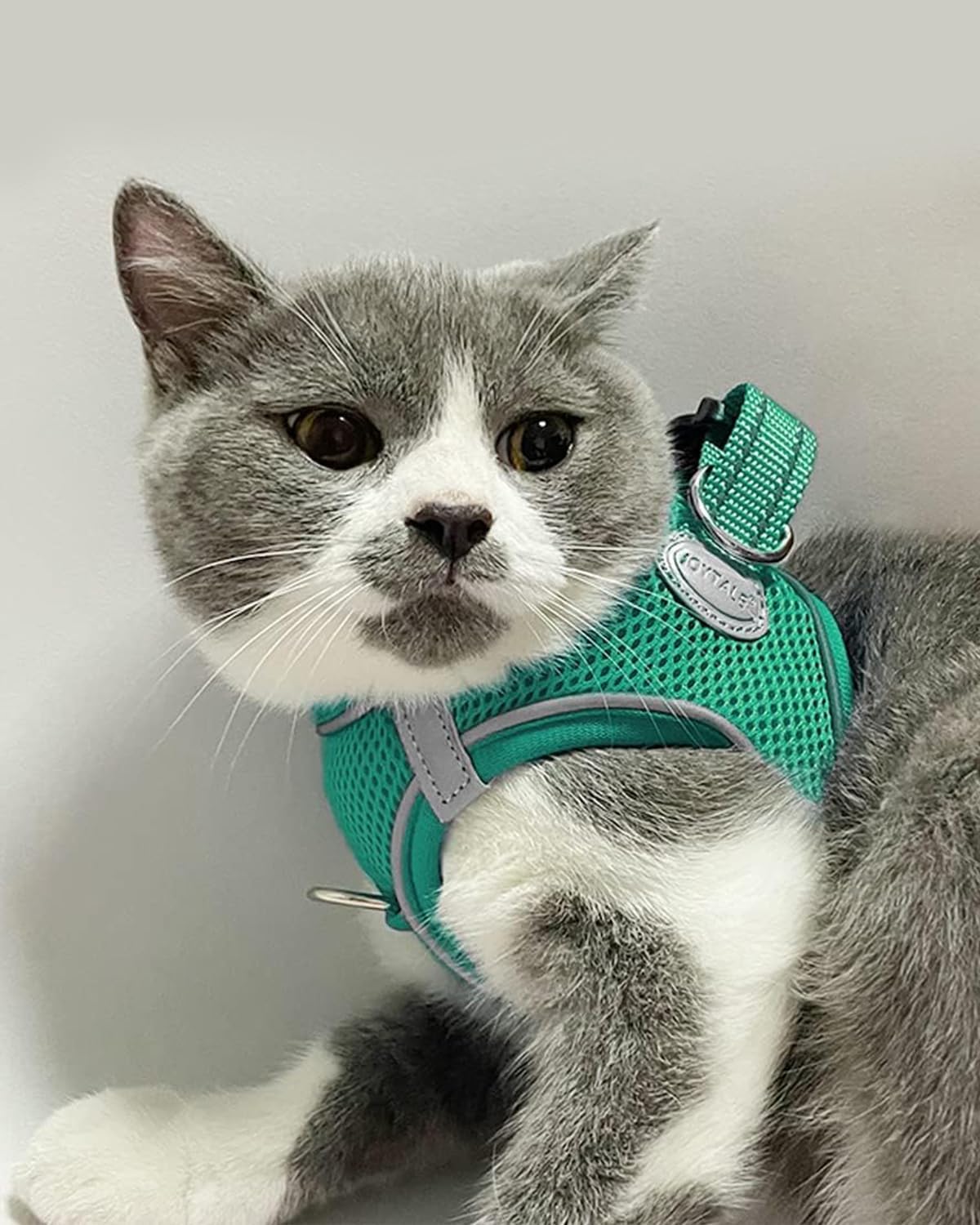 Joytale Small Dog Harness, Breathable Mesh Step-in Vest, Reflective Soft Padded Harnesses for Cats and Puppies Dogs, Teal, XXXS