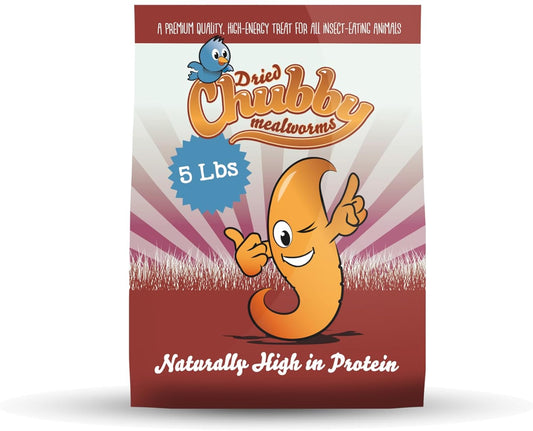 5Lb Chubby Dried Mealworms High Protein Treat for Chickens, Ducks & Birds