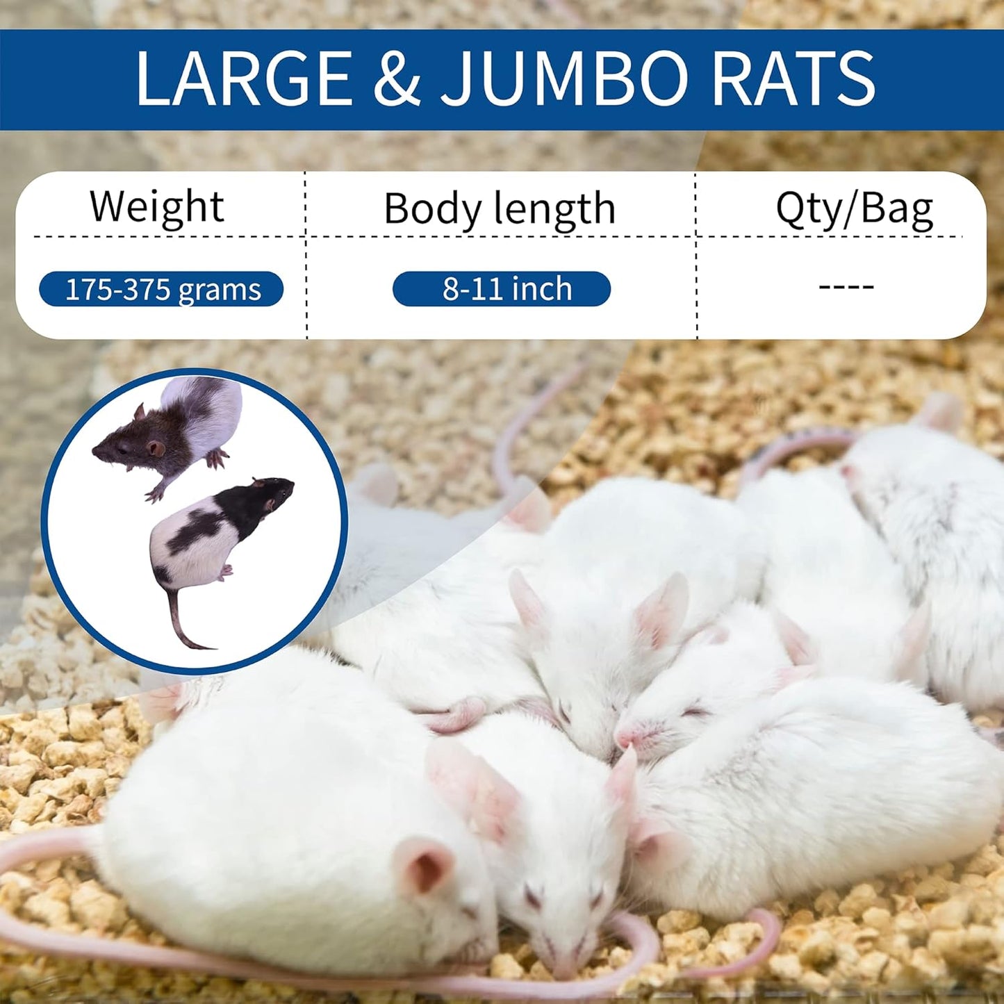 MiceDirect EST. 2003 10 Frozen Rat Combo Pack 5 Larges and 5 Rat Jumbo Feeders Snake Food (9-11 in)(450 Grams Min)