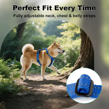 Plutus Pet Adjustable No Pull Dog Harness with Leather Accents, Heavy Duty Reflective Nylon Vest for Training, Hiking, Easy Walk Harness for Small, Medium, Large Dogs (Royal Blue, XL)