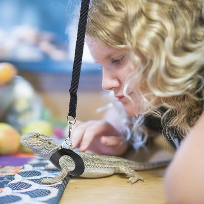 Bearded Dragon Harness and Leash Set, 3-Size Adjustable Soft Leather Reptile Leash for Training & Walking, Lizard Harness with Traction Rope, Walking Vest for Small Animal Outdoor, Black