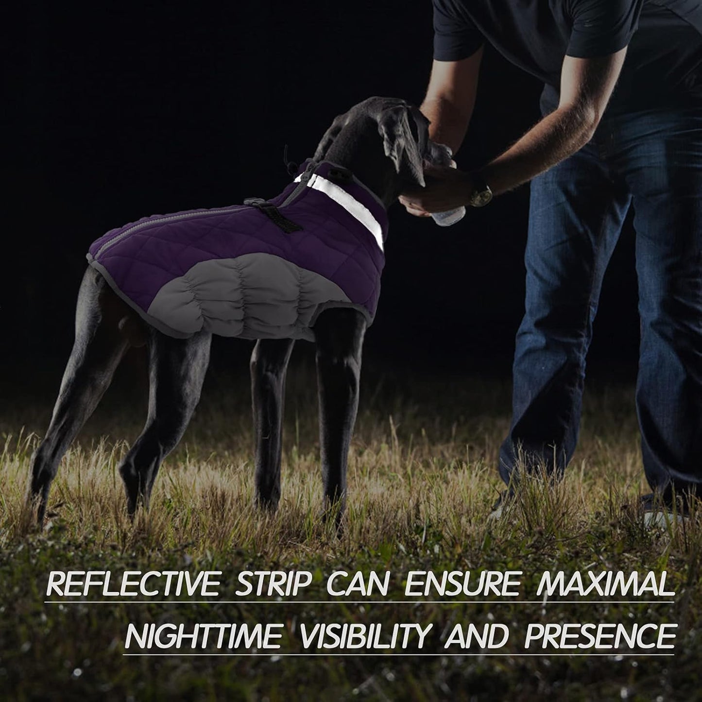 FUAMEY Dog Coat for Small Dogs,Waterproof Dog Winter Jacket with Harness Built in Puppy Cold Weather Coats Reflective Pet Vest with Zipper Warm Fleece Dogs Snowsuit Windproof Purple S