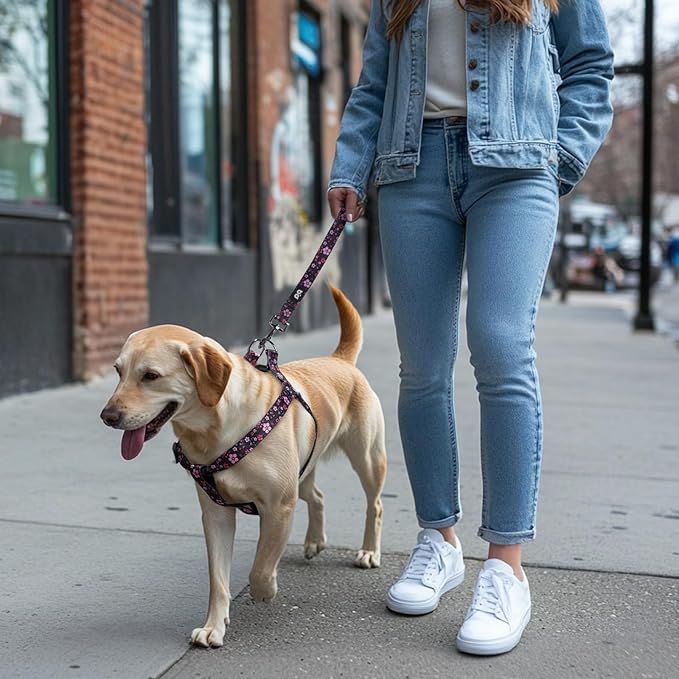 QQPETS Dog Harness Leash Set Adjustable Heavy Duty No Pull Halter Harnesses for Small Medium Large Breed Dogs Back Clip Anti-Twist Perfect for Walking