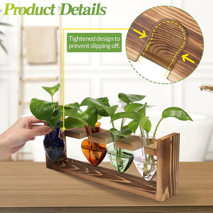 Plants Propagation Stations Plant Terrarium Kit for Bathroom Glass Planters for Indoor Plants Bathroom Decor Accessories - Relax Soak Unwind Breathe