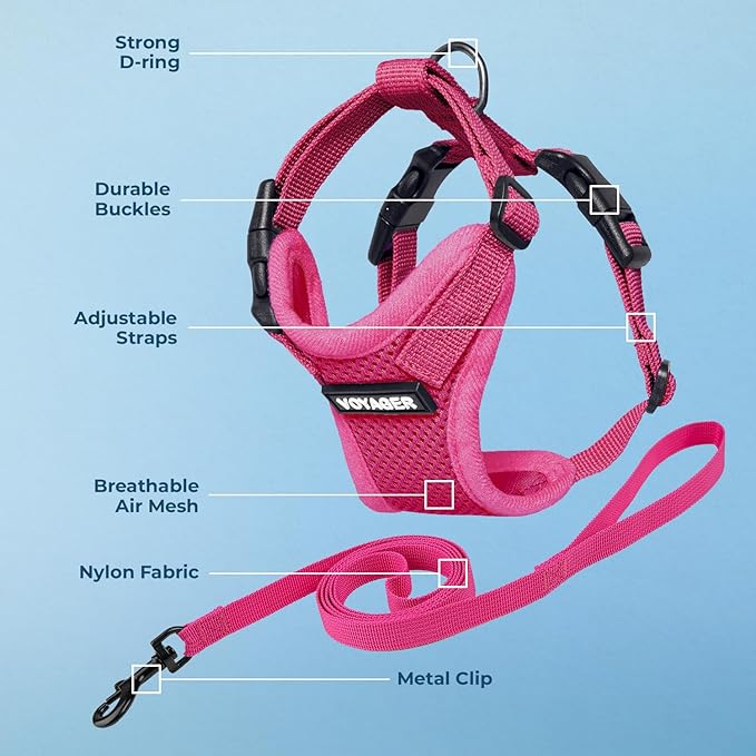 Voyager Step-in Lock Adjustable Cat Harness w. Cat Leash Combo Set with Neoprene Handle 5ft - Supports Small, Medium and Large Breed Cats by Best Pet Supplies - Fuchsia, S