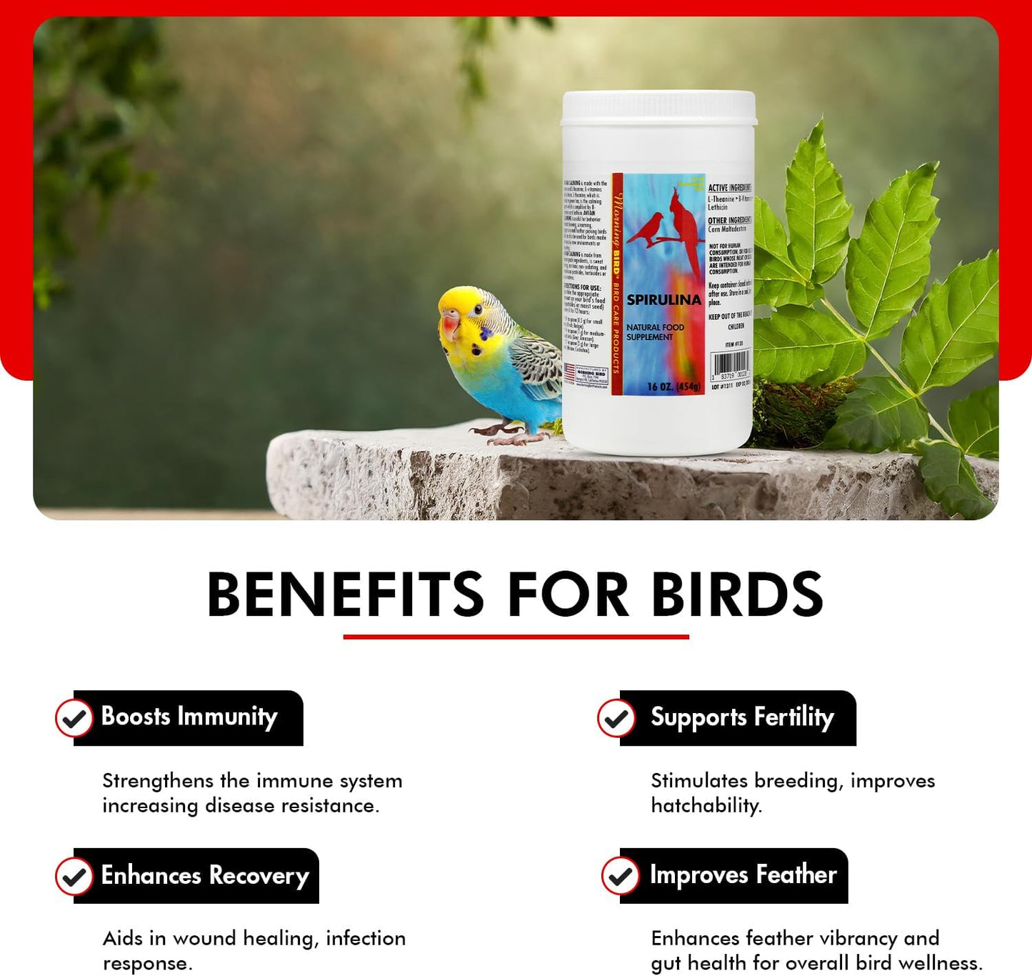 Morning Bird Spirulina, Supplement for Caged Birds, Organic Bird Food Supplement with Vitamins, Proteins, and Amino Acids for Parakeets, Cockatiels, Budgies, Finches, Canaries, and Parrots, 16 oz