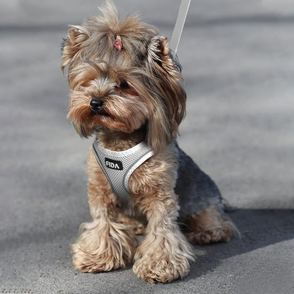 Fida Cat Harness and Leash Set for Walking Kitten and Puppy, Escape Proof Kitten Harness with Breathable Lightweight Soft Mesh, Adjustable Reflective Step-in Design for Kitten and Puppy.(XXXS, Grey)