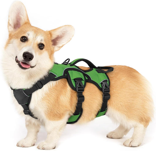 rabbitgoo Escape Proof Dog Harness, Soft Padded Full Body Pet Harness, Reflective Adjustable No Pull Vest with Lift Handle and Lesh Clip for Large Dogs Walking Hiking Training, S, Green