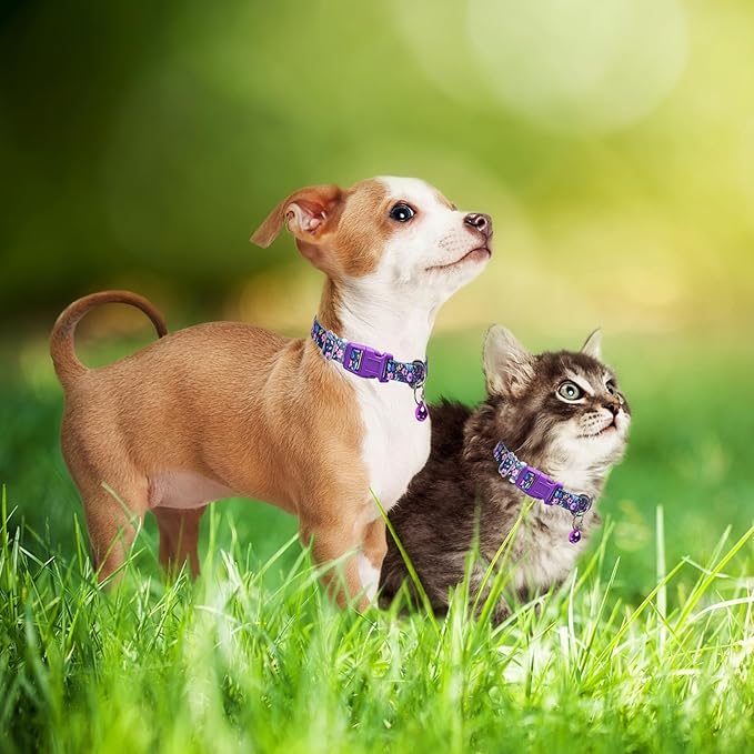 Purple Floral Small Dog Collar with Bell, Pretty Cute Flower Cat Collar Girl Puppy Collars with Bells for XS Small Tiny Pet Female Dogs Kitten Little Animal, S
