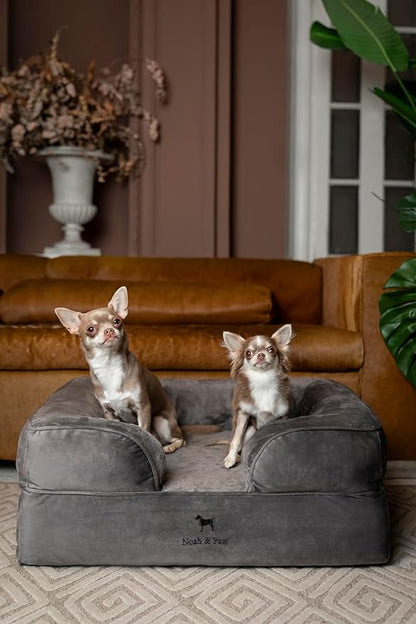 NOAH & PAW Dog Bed, 28x23x11 Inch, Orthopedic Dog Beds for Medium Size Pets, Eggshell Memory Foam Infused with Cooling Gel, Inner Cover, Waterproof, Machine Washable (Velvet Sofa Collection)