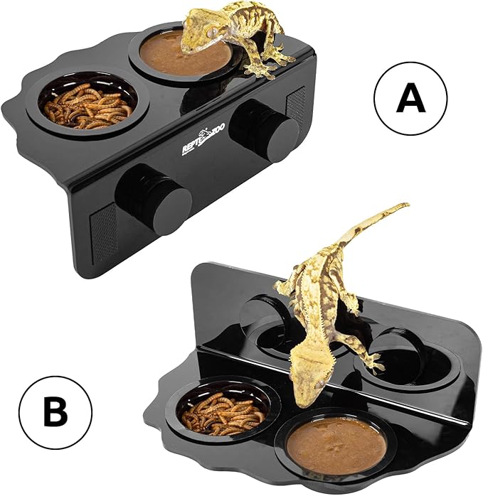 REPTI ZOO Magnetic Gecko Feeding Ledge, Acrylic Aboreal Feeding Ledge with 6PCS Cups, Strong Magnetic Reptile Ledge Gecko Food Ledge