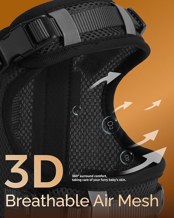 FAYOGOO Service Dog Vest for Small Dogs - Air Mesh Breathble Emotional Support Animal Vest with DIY Patches - Puppy Harness and Leash Set Adjustable Neck and Chest