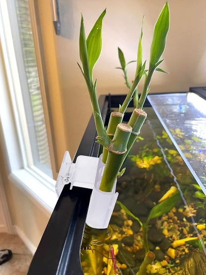 3 Holes Upgraded Aquatic Plant Cup Aquarium Plant Holder for Tank, Hanging Aquarium Plant Holder, Aquarium Aquatic Plant Cultivation, Aquarium Plant Decoration - 2 Pcs White