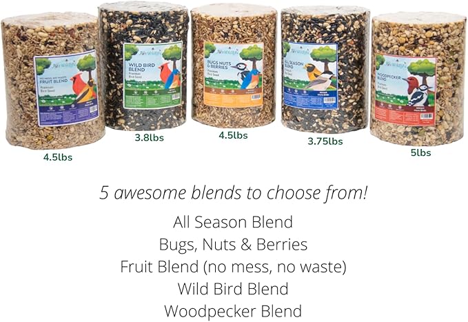 JCs Wildlife 5 Pack Premium Bird Seed Blend Large Cylinder Variety Pack