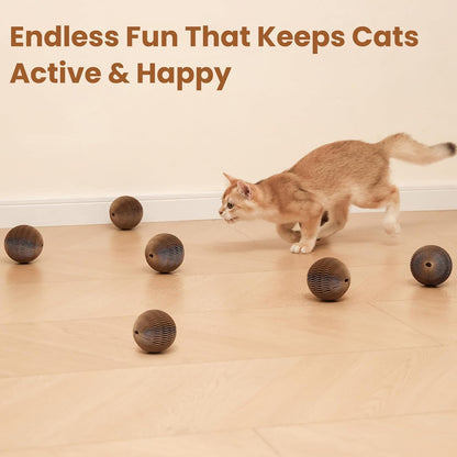 6-Pack Cardboard Cat Ball Toy with Bell – Interactive Cat Toy for Chasing, Batting, and Exercise – Durable & Irresistible Fun for Cats