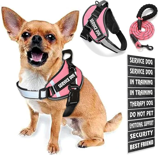 Service Dog Vest, 9 Dog Patches No Pull Dog Harness and Leash Set with Handle,Easy On and Off Pet Vest Harness with Night Safe Reflective Straps for Small Medium Large Breed Dogs