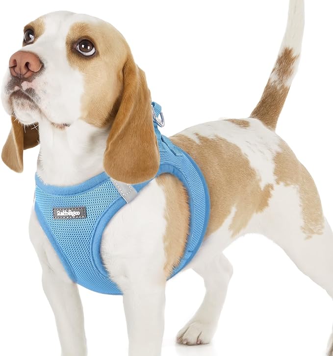 rabbitgoo Small Dog Harness, Step-in Soft Mesh Puppy Vest with Safety Buckle, Breathable Reflective Pet Harness for Small Sized Dogs, Blue M