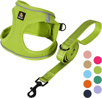 BELLA & PAL Step in Vest Harness for Small and Medium Dogs, No Pull Small Dog Harness with Leash Set, Comfortable Air Mesh Dog Vest Harness with Reflective Strip (Avocado Green, L)