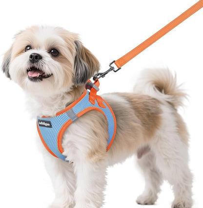 rabbitgoo Dog Harness Small Sized and Leash Set, Step-in Breathable Pet Harness, Soft Walking Reflective Puppy Vest for Small Dogs, Light Blue & Orange, S