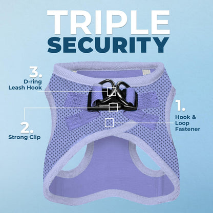 Best Pet Supplies Voyager Step-in Air Harness - All Weather Mesh, Reflective, No Pull Harness for Dogs, Cats - Secure with Hook & Loop Fastener, Buckle, Double D-Rings - Lavender, L
