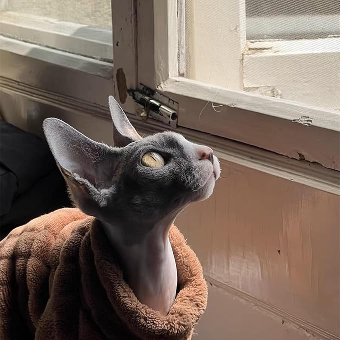 Turtleneck Sweater for Sphynx Cat Soft Coral Fleece Cat Clothes Thick Winter Warm Outfit Coat for Hairless Cats and Small Dogs Apparel with Sleeves (Brown, L (7-8.5 lbs))