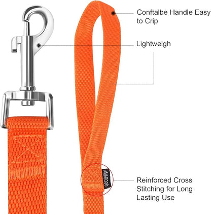 AMAGOOD 6 FT Puppy/Dog Leash, Traditional Style Leash with Easy to Use Collar Hook, Great for Small, Medium and Large Dogs (3/4 in x 6 ft, Orange)