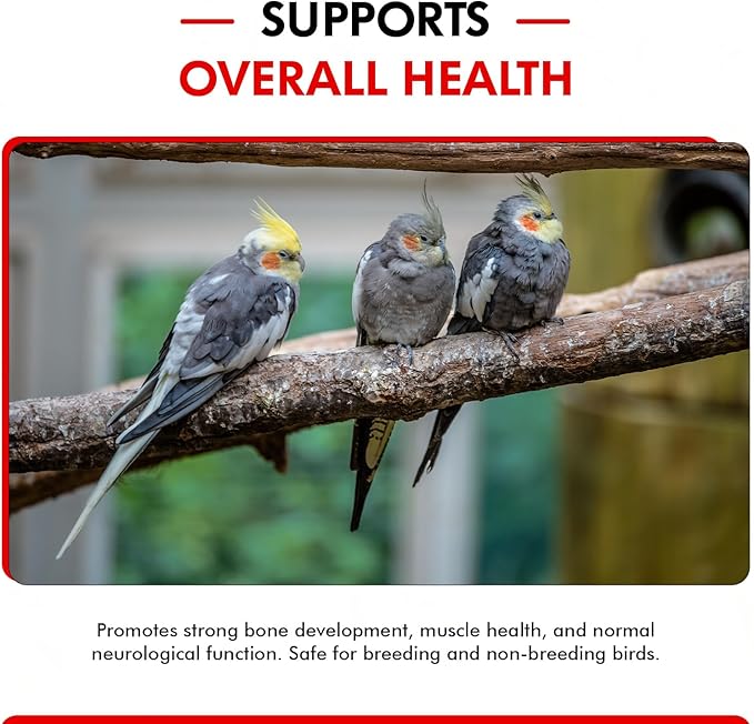 Morning Bird Calcium Plus Liquid for Birds – Bird Vitamins for Strong Eggshells, Healthy Bones, and Baby Bird to Support Growth, Breeding, and Wellness for All Birds 4 Fl Oz