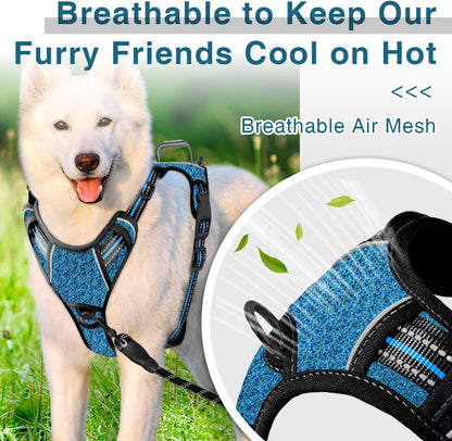 BARKBAY Dog Harness No Pull with ID Tag Pocket - Heavy Duty, Reflective, Easy Control for Small Dogs(Blue/Black,S)