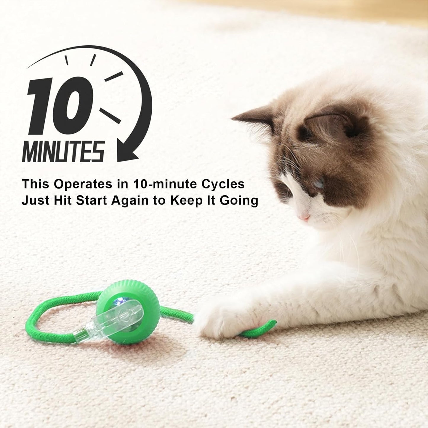 2025 New 1Pack Cat Ball Kitten Toys for Indoor Interactive Kitty Ball Toy Speedy Tail 360° Automatic Rolling(Green)